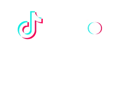 TikTok Marketing Partner